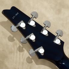 Greco GM-CST, FM_5