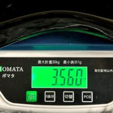 YAMAHA Pacifica Standard Plus PACS+12 BL (Black) 【特価】_11