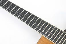 Kikuchi Guitars NY155 / Blackwood【即納可能!】【ついに出た!ニューヨーカースタイル】【ギグバッグプレゼント中】_7
