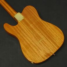 Tokai ATE-103G NR_4