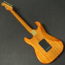 Tokai AST-103G NR_2