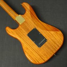 Tokai AST-103G NR_4