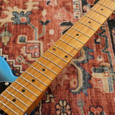 Bacchus BTE-1DX RSM/M GB-B(Galaxy Blue Burst) -Univers Series-【特価】 【ステンレスフレット】_6