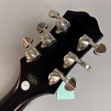 Epiphone Prophecy SG_8