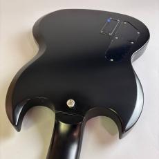 Epiphone Prophecy SG_10