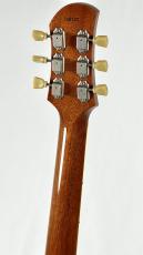Bizen Works ~The Vintage Collection~ BURNED 57 STD Black Parts Bumblebee -Gold Top-【軽量3.83kg】_8