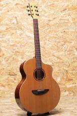 L.Luthier Cofe_3