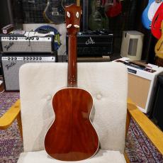 Pinoi PNT-12K / Tenor / Koa / #07053 【チョイキズ特価品】 【稀少&良質で評価の高い国産モデル。】_8