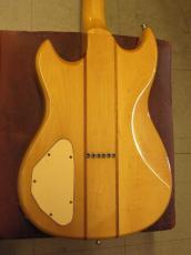 Aria Pro II TS-500_4