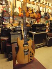 Aria Pro II TS-500_8