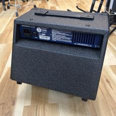 Laney RB1_3