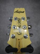 Aria Pro II Cardinal Series CS400 Model_4