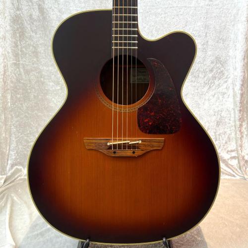 Takamine TDP-012