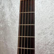 Takamine TDP-012_3