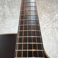 Takamine TDP-012_4