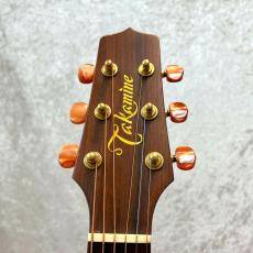 Takamine TDP-012_5