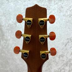 Takamine TDP-012_6
