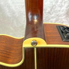 Takamine TDP-012_7