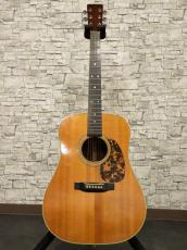 Martin 1976 D-28_10