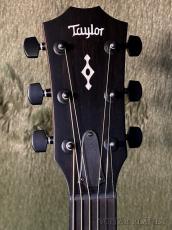 Taylor 【新品特価‼】324ce Next Generation #1202026066【Claria™搭載】【48回迄金利0%対象】【送料当社負担】_4