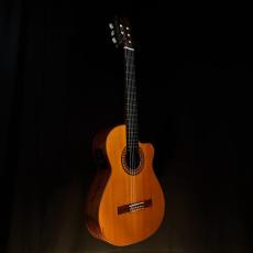 Antonio Sanchez [アントニオ・サンチェス] EG-8 2006 / 1.88kg【下取りで最大15%OFF】【甲府店】_9