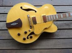 Ibanez AF-105NT_2