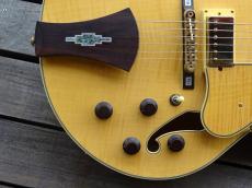 Ibanez AF-105NT_5