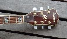 Ibanez AF-105NT_7