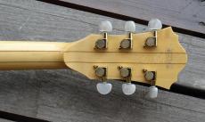Ibanez AF-105NT_8