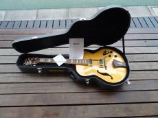 Ibanez AF-105NT_9