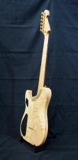 Washburn NELE DELUXE_4