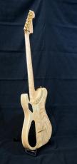 Washburn NELE DELUXE_6