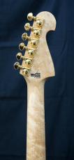 Washburn NELE DELUXE_10