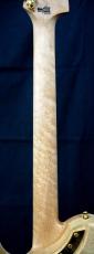 Washburn NELE DELUXE_11