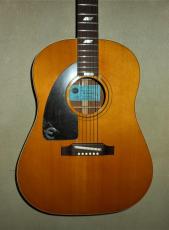 Epiphone PAUL McCARTNEY  1964 Epiphone Texan_2