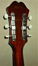 Epiphone PAUL McCARTNEY  1964 Epiphone Texan_5