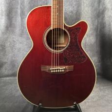 Takamine DMP551C