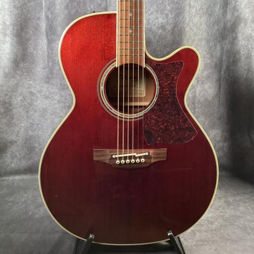 Takamine DMP551C