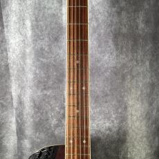 Takamine DMP551C_3