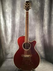 Takamine DMP551C_4