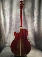 Takamine DMP551C_5
