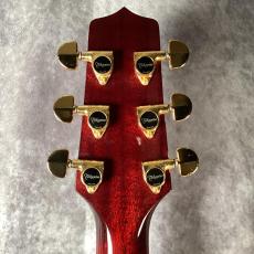 Takamine DMP551C_6