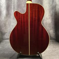 Takamine DMP551C_8