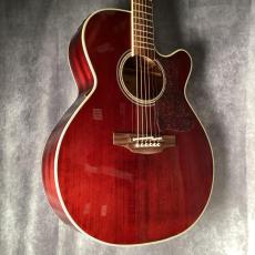 Takamine DMP551C_9