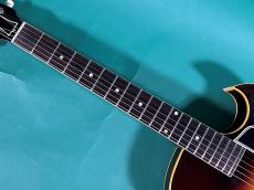 Gibson ES-225 _7