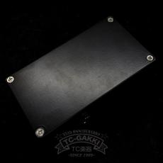 Browne AMPLIFICATION CARBON V2_3
