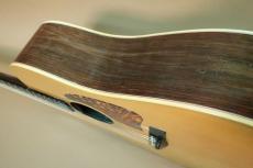 TAMA TAMA TG-160 / Flagship Model・T-Inlay Logo・Original TAMA peg・Solid Select German Spruce Top・Select Solid Jacaranda Side and Back・Ebony Fingerboard and Bridge・Genuine Tortoise Pick-guard【With Epiphone H_5