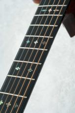 Stafford SF-5C All Maho -NT-【数量限定アクセサリーセット付!】【ビギナーにおススメ!】_6