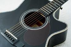 Stafford SF-5C -BLK-【数量限定アクセサリーセット付!】【ビギナーにおススメ!】_4
