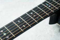Stafford SF-5C -BLK-【数量限定アクセサリーセット付!】【ビギナーにおススメ!】_6